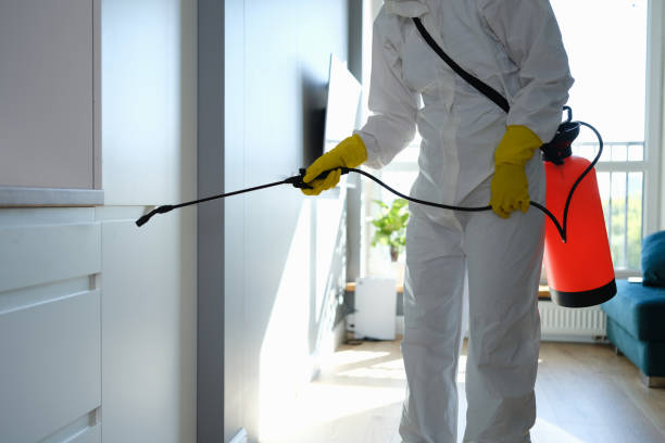 Best Residential Mold Remediation in Tower Lakes, IL