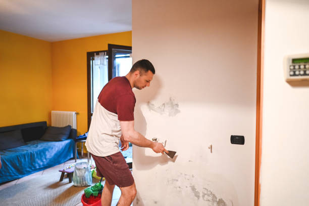 Best Mold Testing and Inspection Services in Tower Lakes, IL